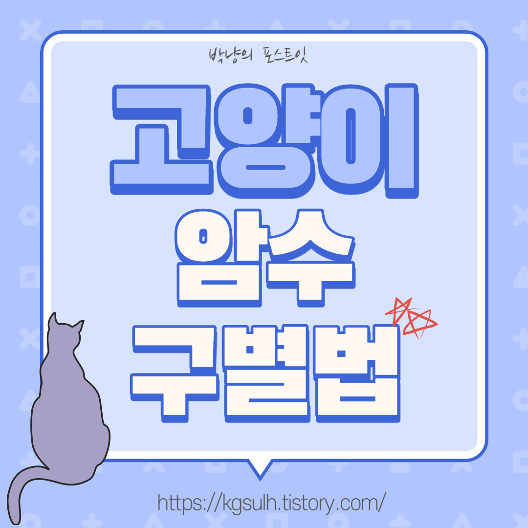 고양이 암수 구분 01_1.jpg