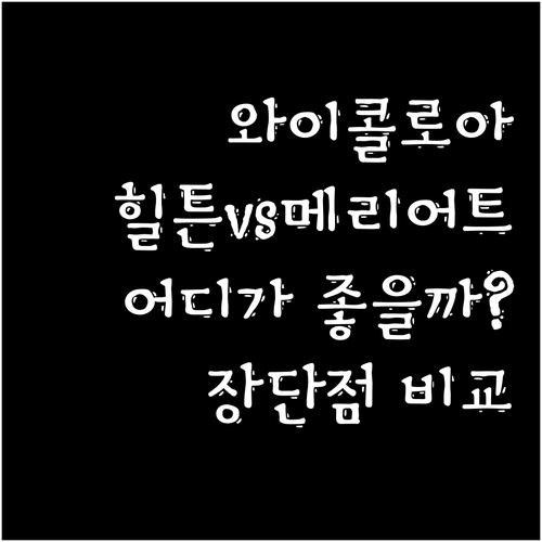 하와이 와이콜로아 호텔 추천! 힐튼 