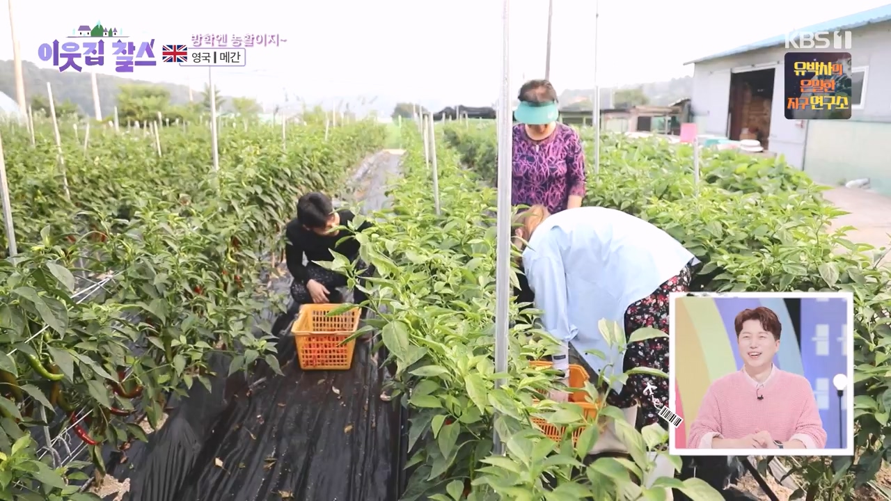 이웃집 찰스.E406.231011p-NEXT.mp4_20231011_200152.994.jpg