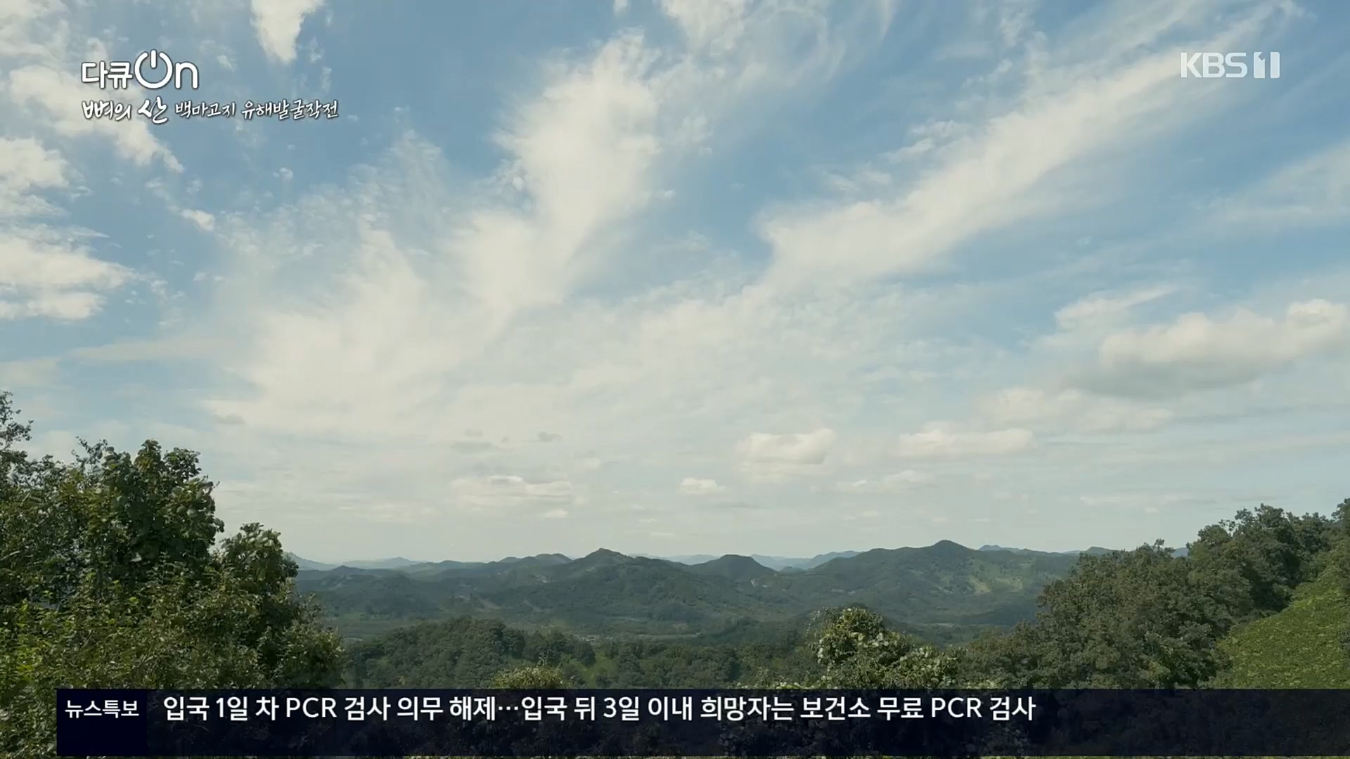 다큐 On.E163.221016p.H264-F1RST.mp4_20221018_185844.915.jpg