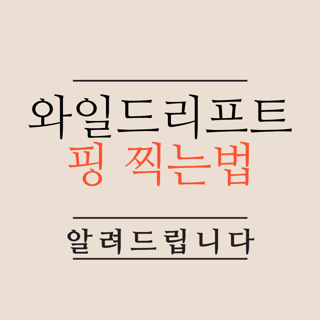  인기게임 모바일 롤 와일드리프트 핑 찍는법 알려드립니다