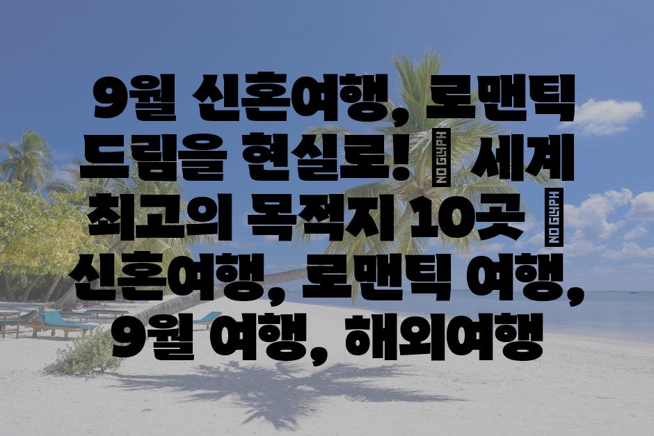 샘플 (79)