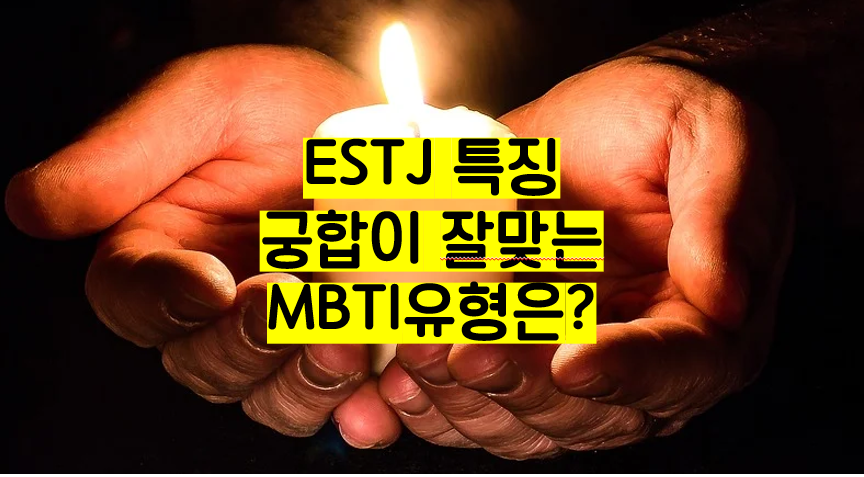 ESTJ 특징&#44; MBTI 궁합