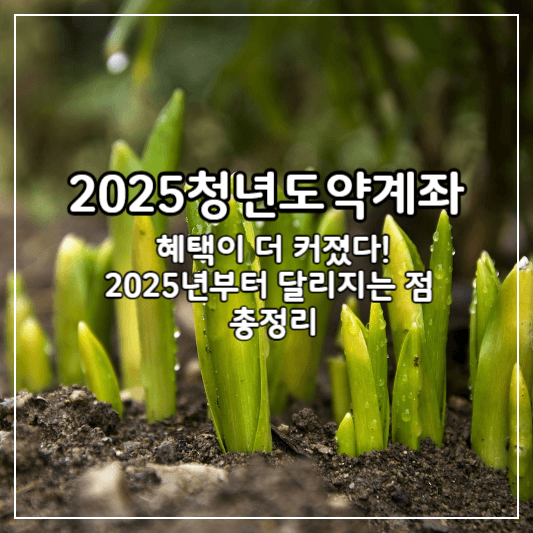 2025-청년도약계좌-썸네일