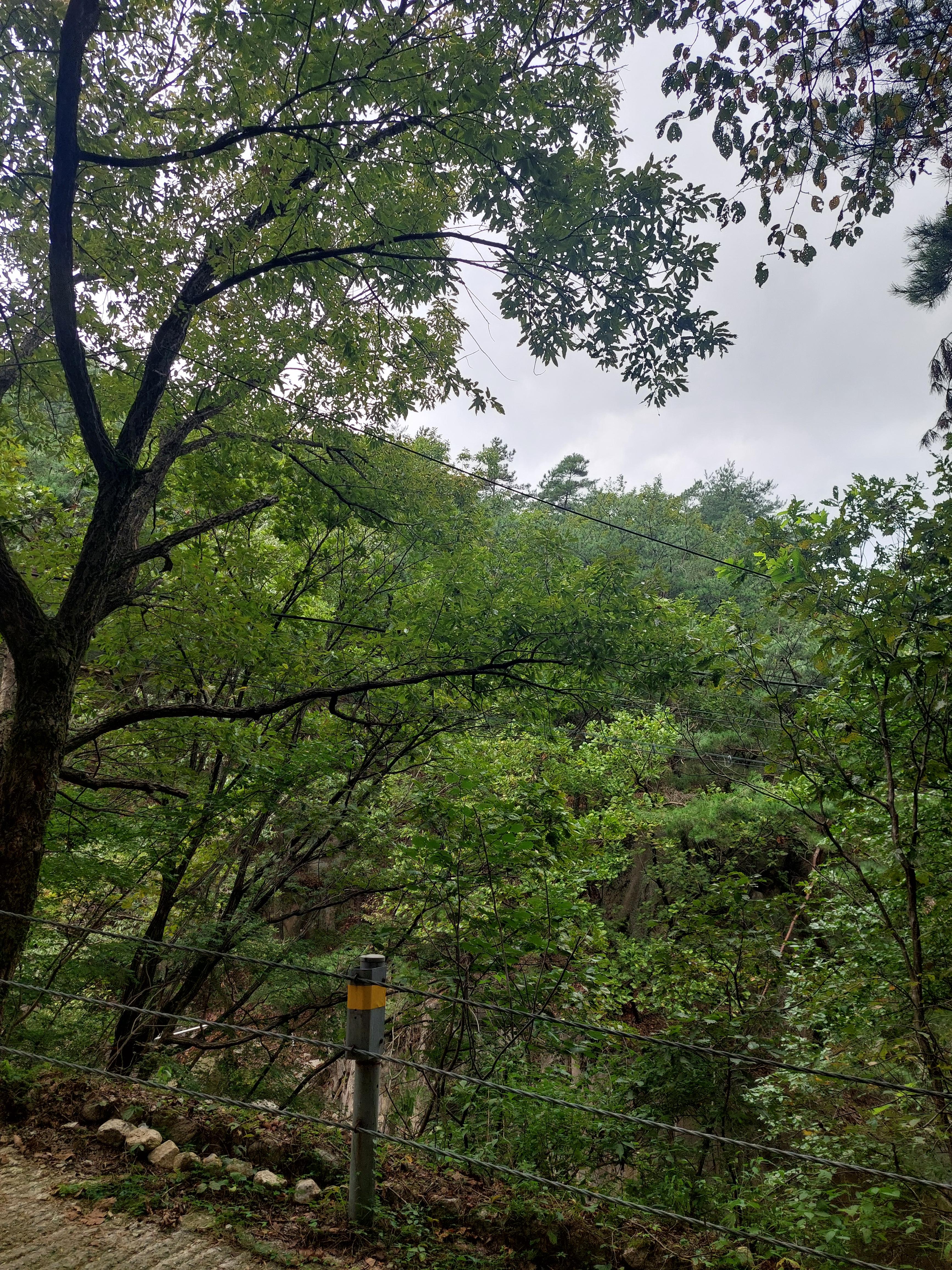 사패산