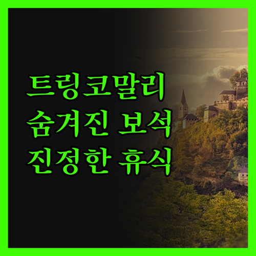 트링코말리 숨겨진 보석, 트린코 비치