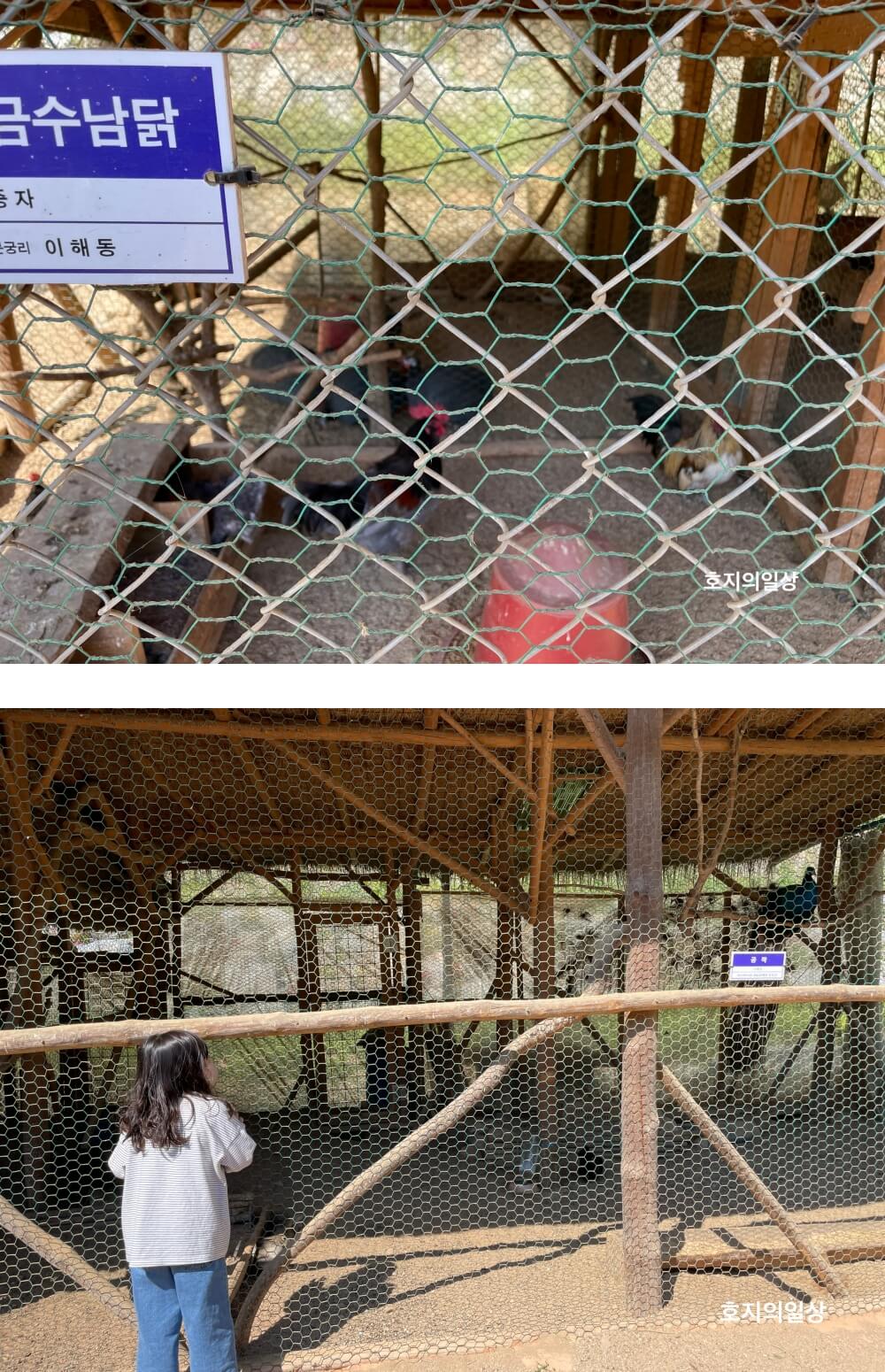 홍천 수타사 농촌테마공원 - 작은 동물원