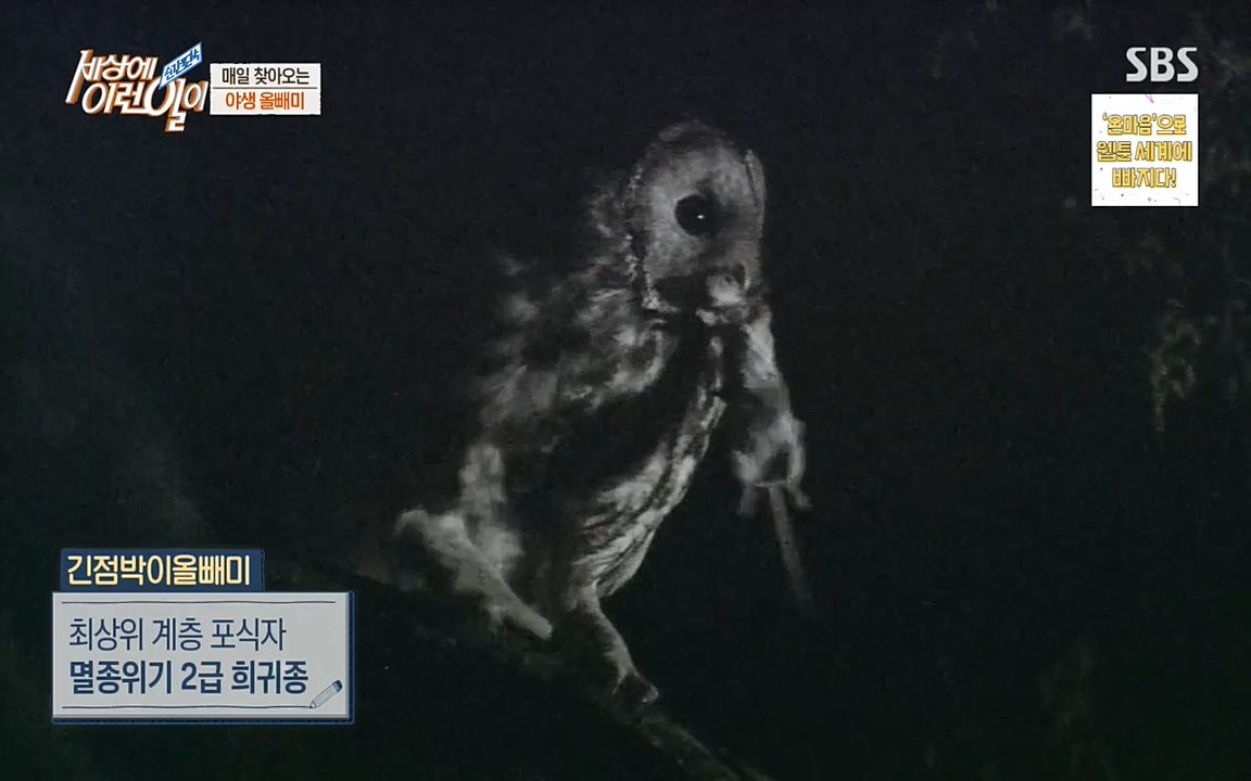 순간포착 세상에 이런일이.E1189.220720p-NEXT.mp4_20220720_194119.310.jpg