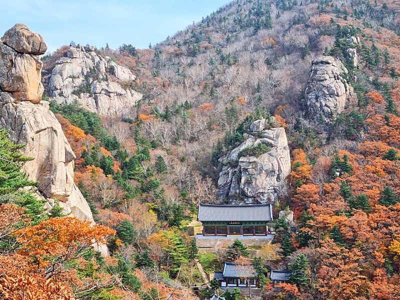 단풍5