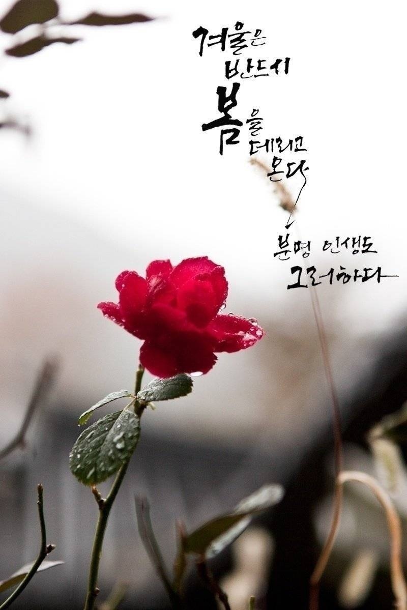  오늘의 좋은글 246번째 성공하고 싶다면 하루 중 잠깐의 시간을 내어서 사색을 해야 합니다