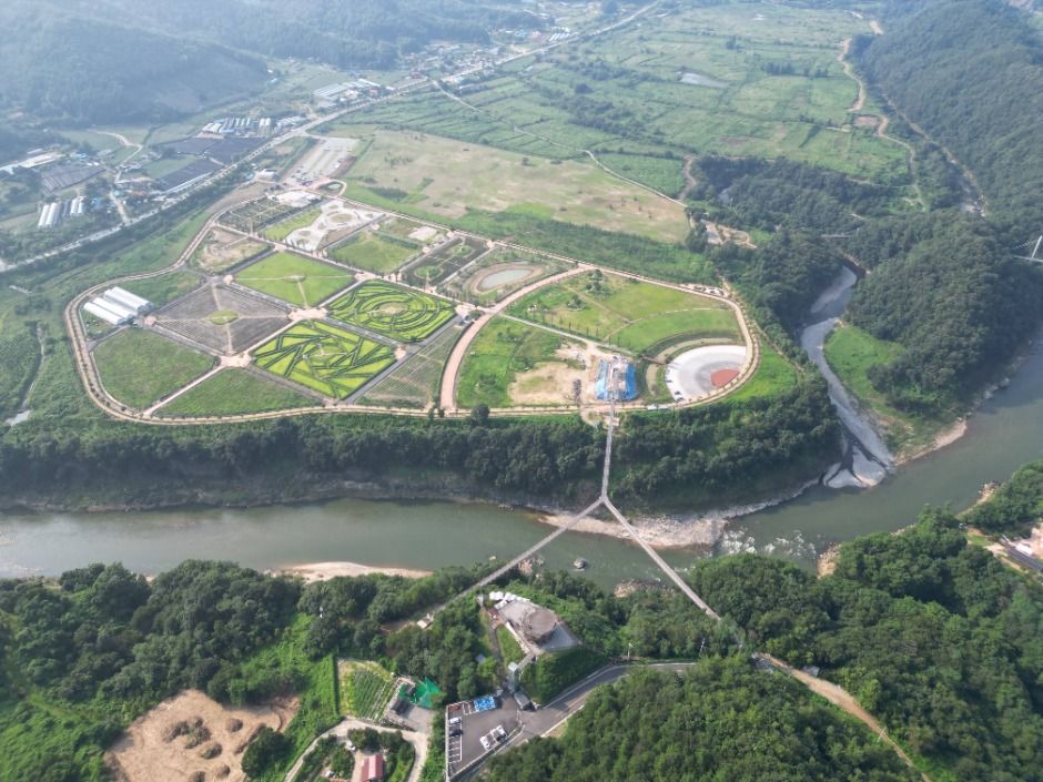 https://korean.visitkorea.or.kr/kfes/detail/fstvlDetail.do?cmsCntntsId=3352029#none