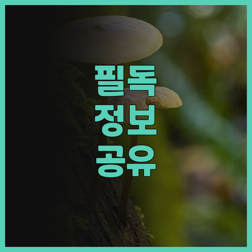시뷰 리조트 샤먼, 아이와 함께 떠나