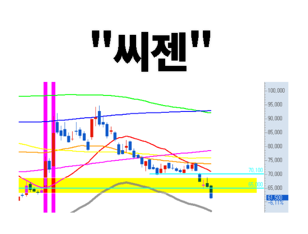  씨젠 주가 전망, R&D + M&A 를 통한 신성장 동력 확보 올인