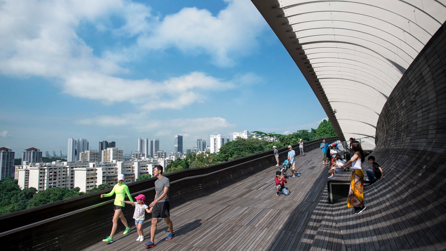 헨더슨 웨이브(Henderson Waves)