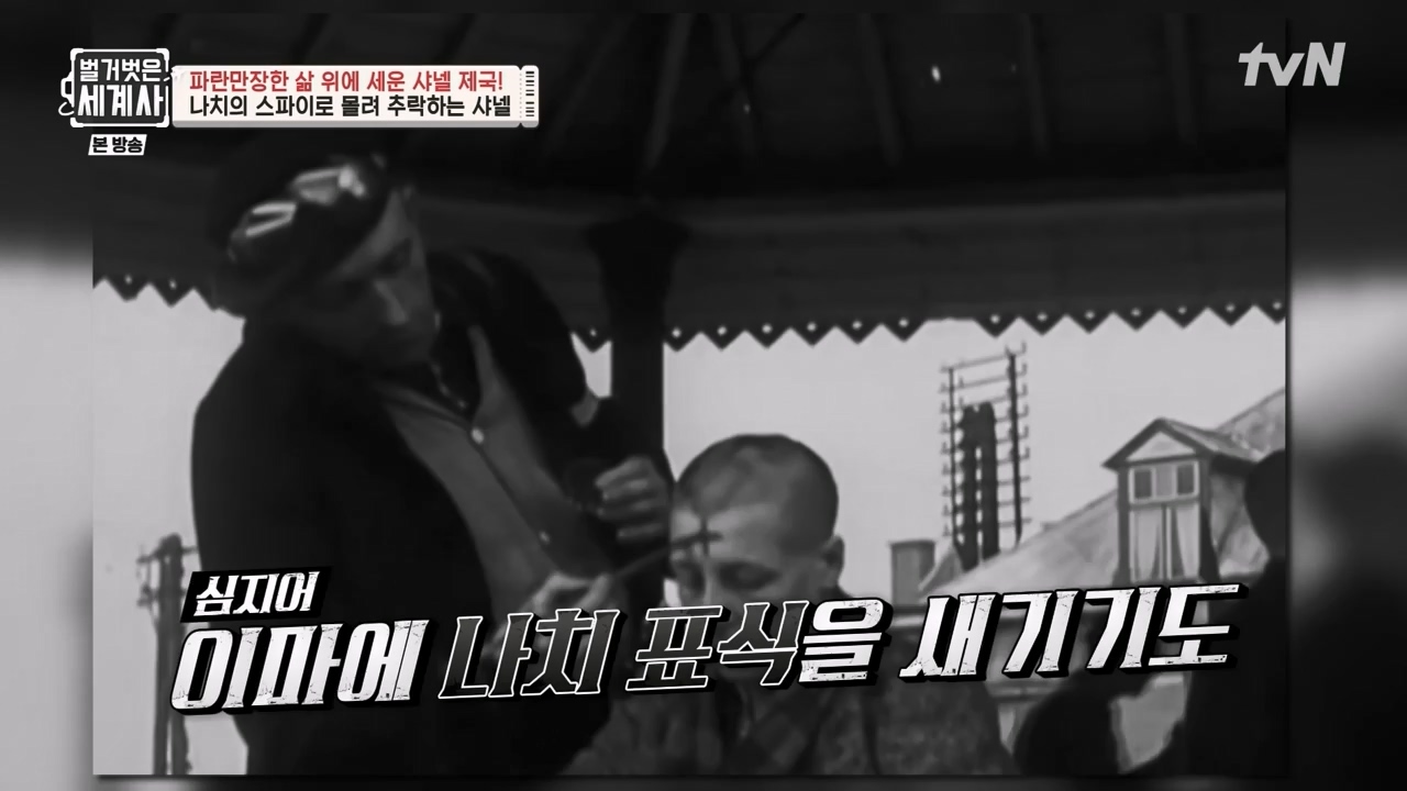 벌거벗은 세계사.E110.230802p-NEXT.mp4_20240217_191025.020.jpg