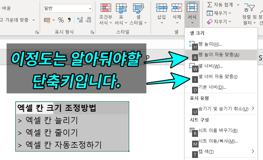 엑셀 칸 늘이기 조정 단축키