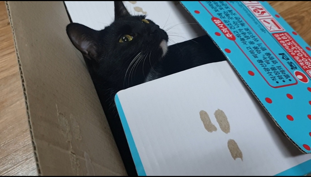  반품 해야겠다.