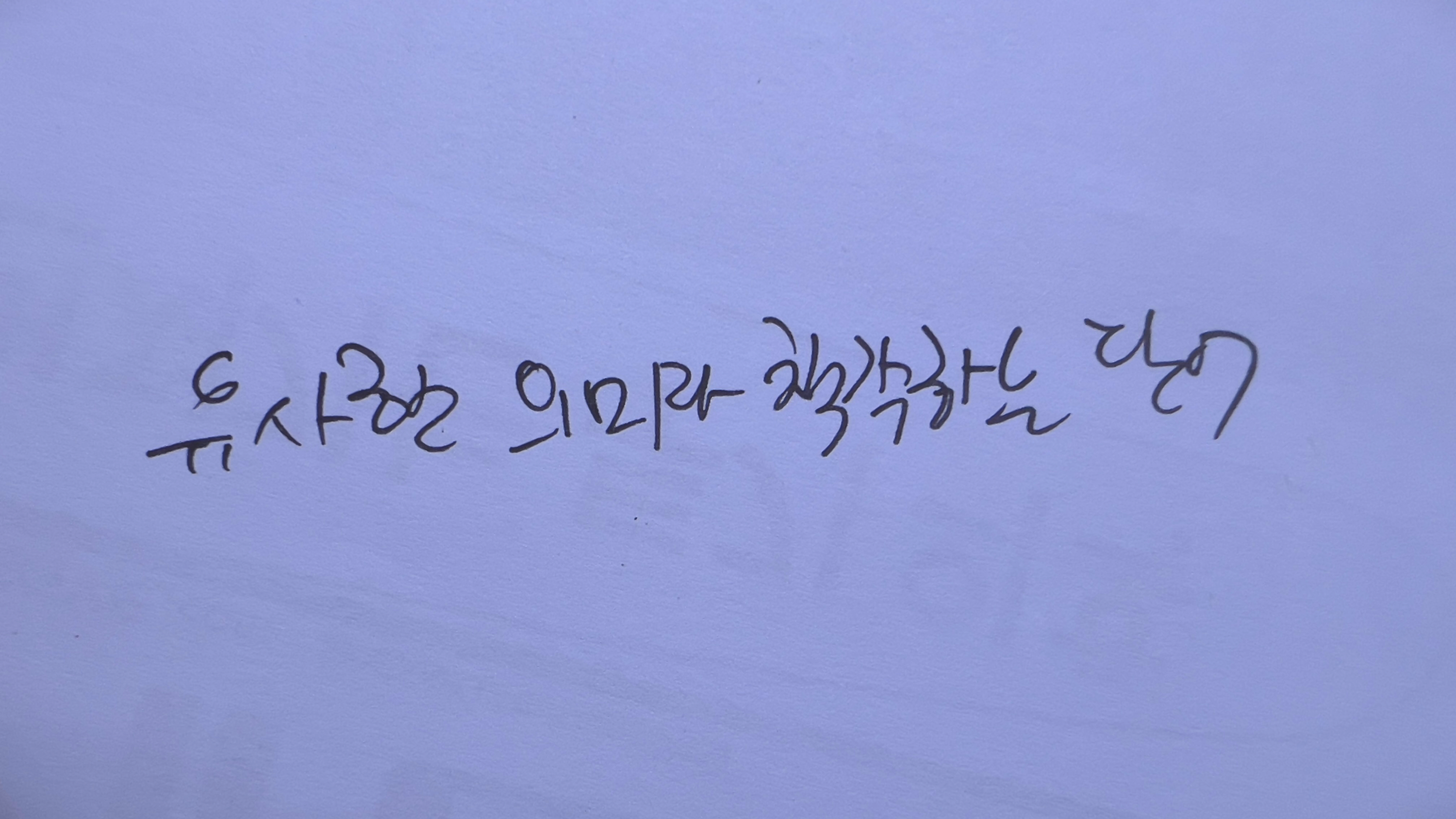  [표준어 쓰는 남자] 의미가 비슷한 어휘들은 암기로 구분하자구