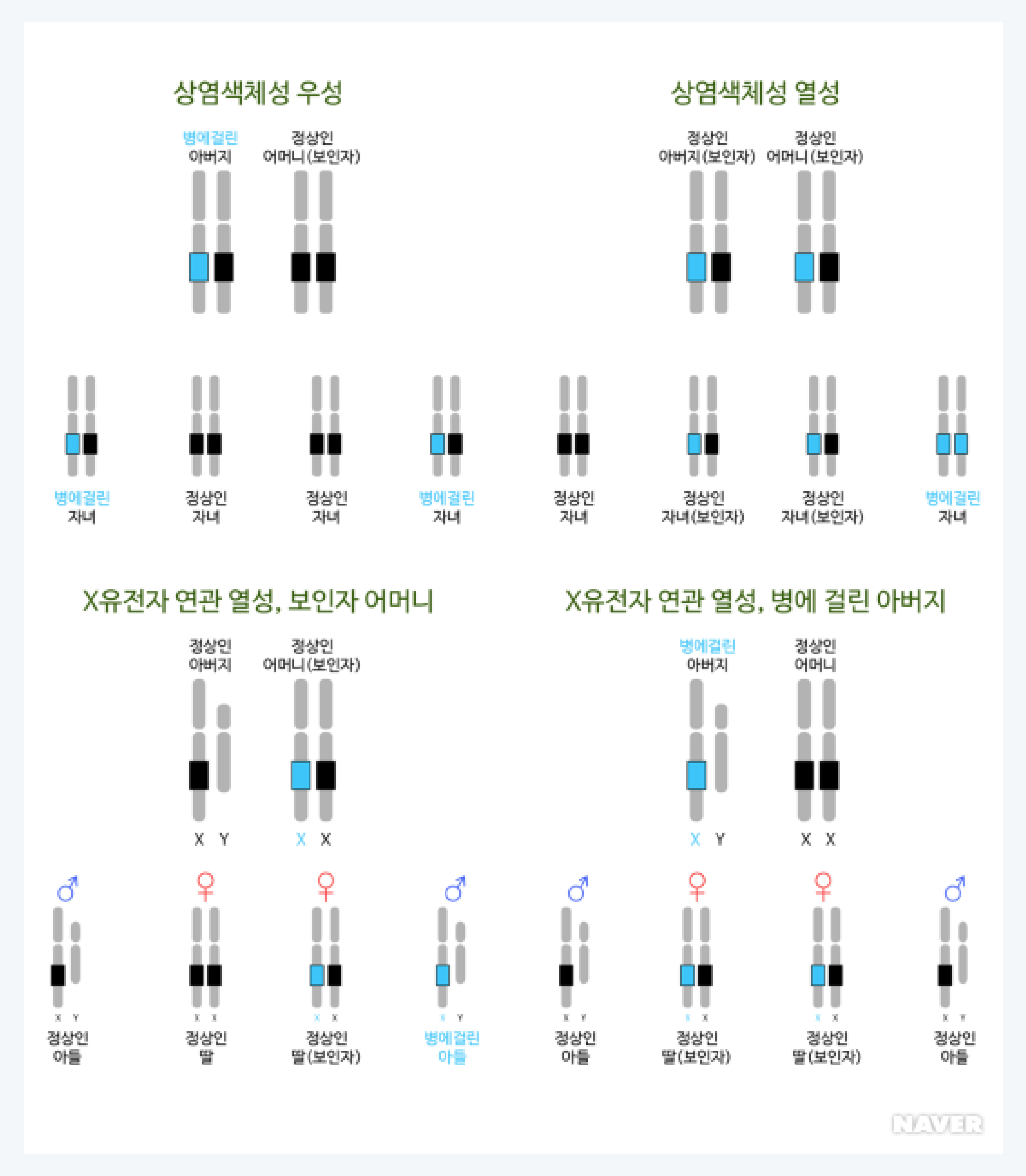 유전병이라 쓰고 저주라 읽는다