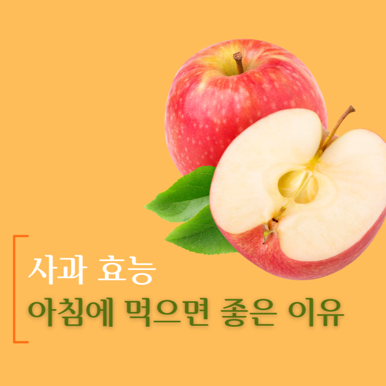 사과 효능