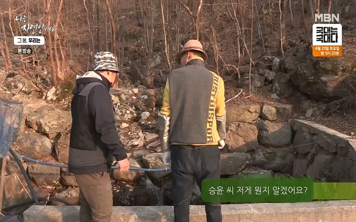 나는 자연인이다.E498.220421p-NEXT.mp4_20220421_184101.477.jpg