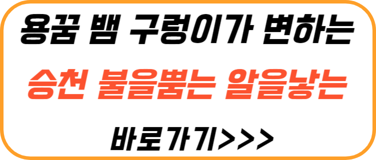 용-뱀-구렁이-승천-변하는