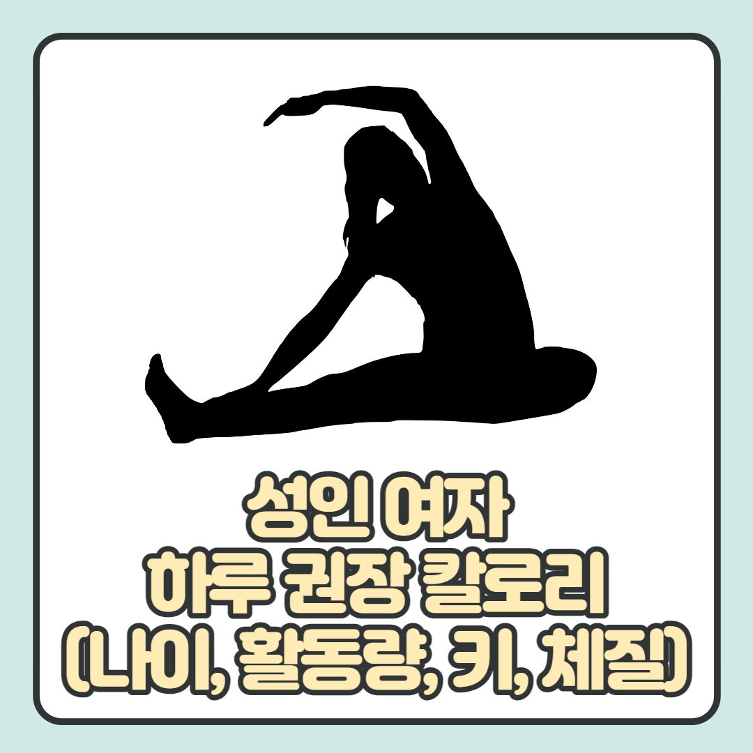  성인 여자 하루 권장 칼로리 4가지(나이, 활동량, 키, 체질) 알아보기!