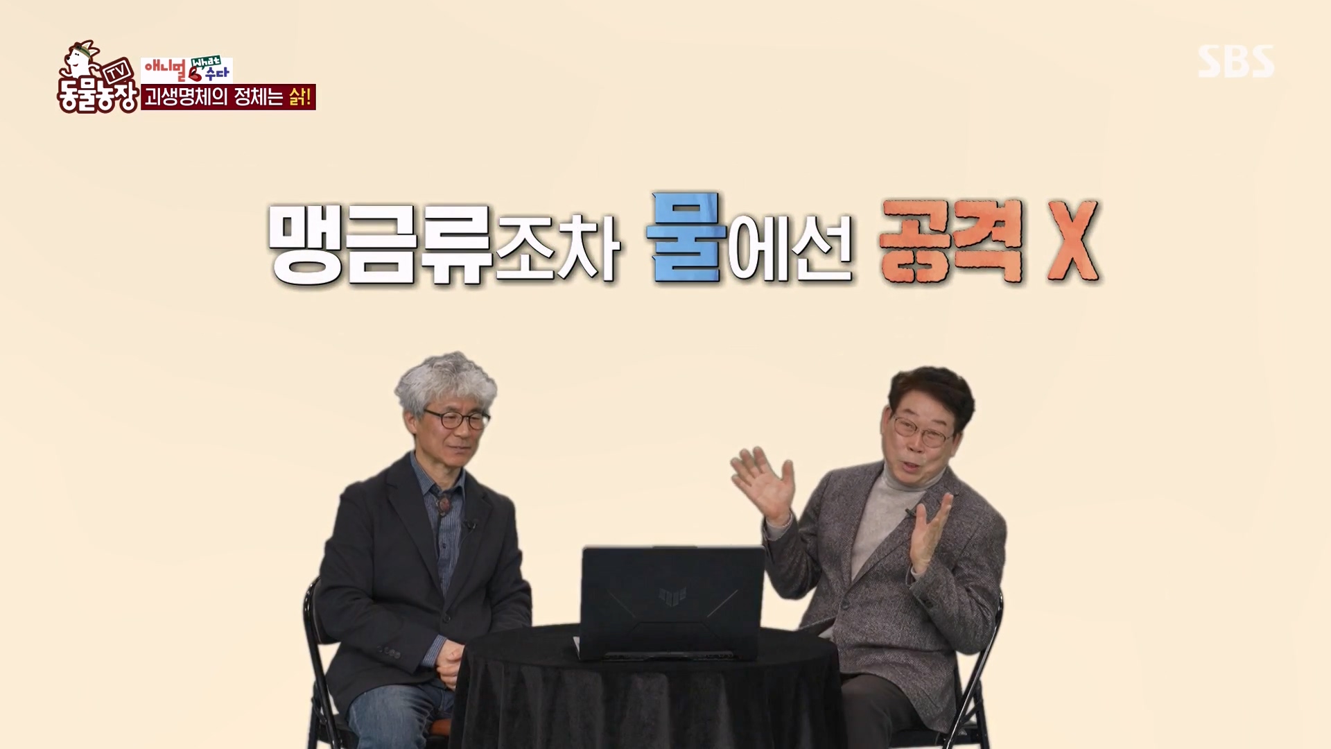 TV 동물농장.E1164.240324p-NEXT.mp4_20240324_170513.708.jpg