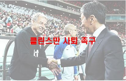 축구협회 클린스만 경질 국민청원 위약금 등