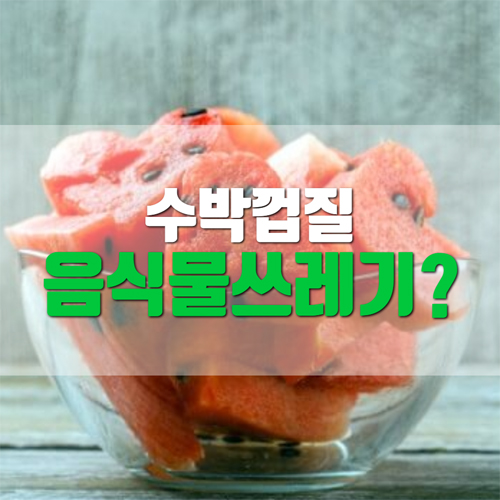  수박껍질 음식물쓰레기 분류기준