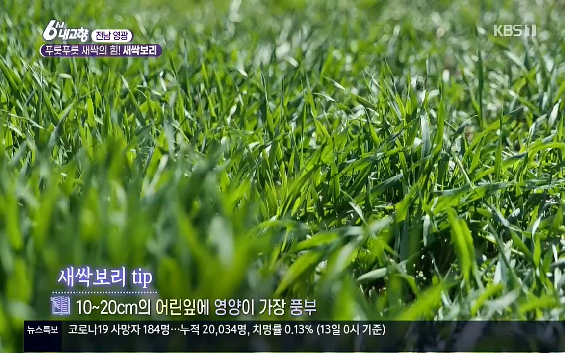 6시 내고향.E7510.220414p.H264-F1RST.mp4_20220419_185736.433.jpg