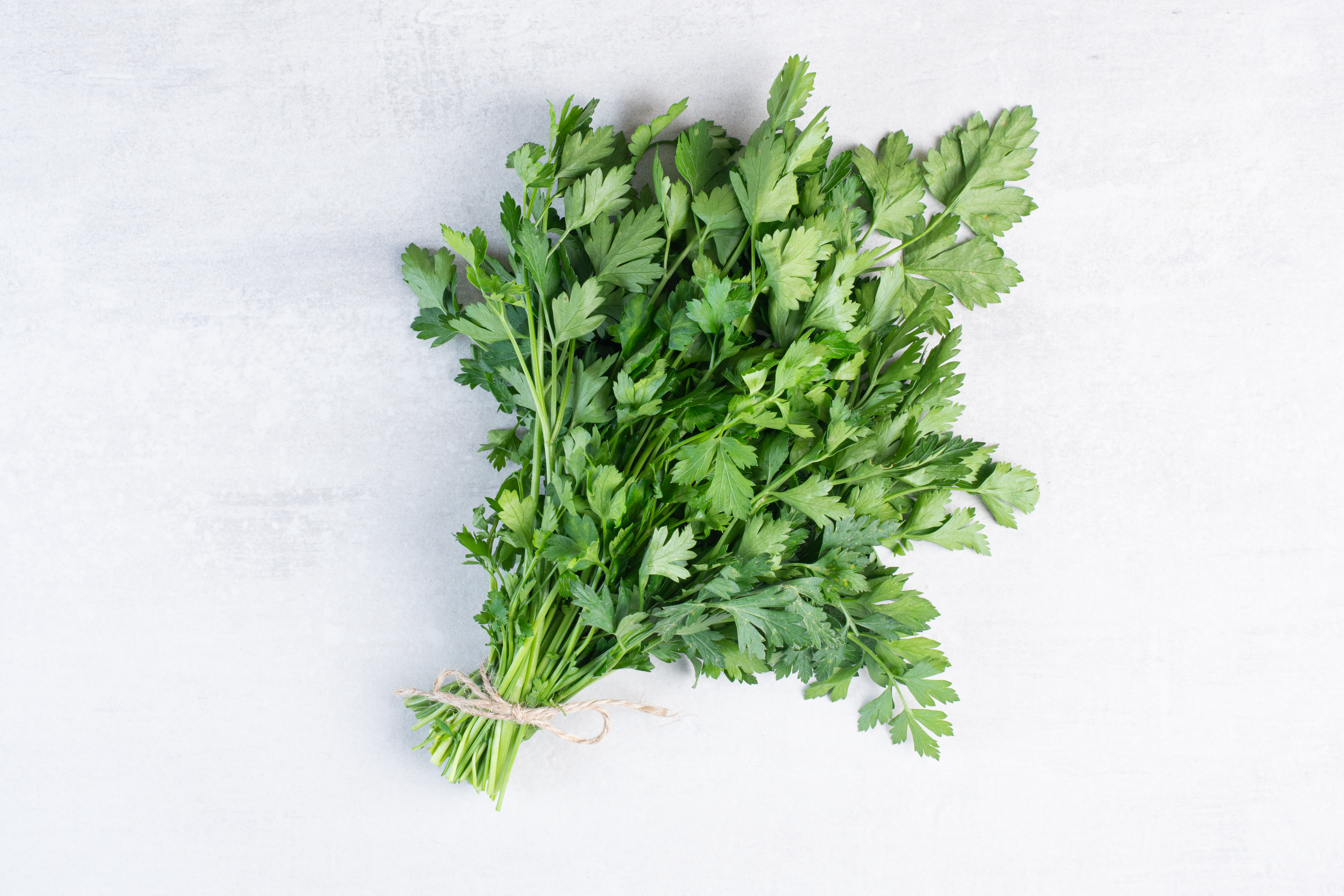 bunch-fresh-coriander-leaves-stone-surface-high-quality-photo
