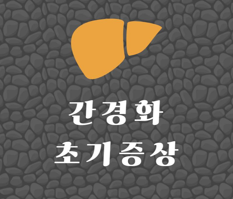  간경화 초기증상 알아야 치료한다