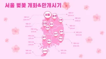 벚꽃 개화시기 2025년 지역별 모음_3