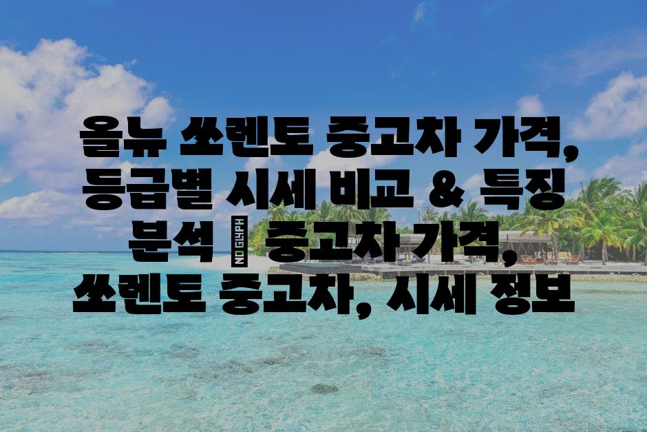 샘플 (72)