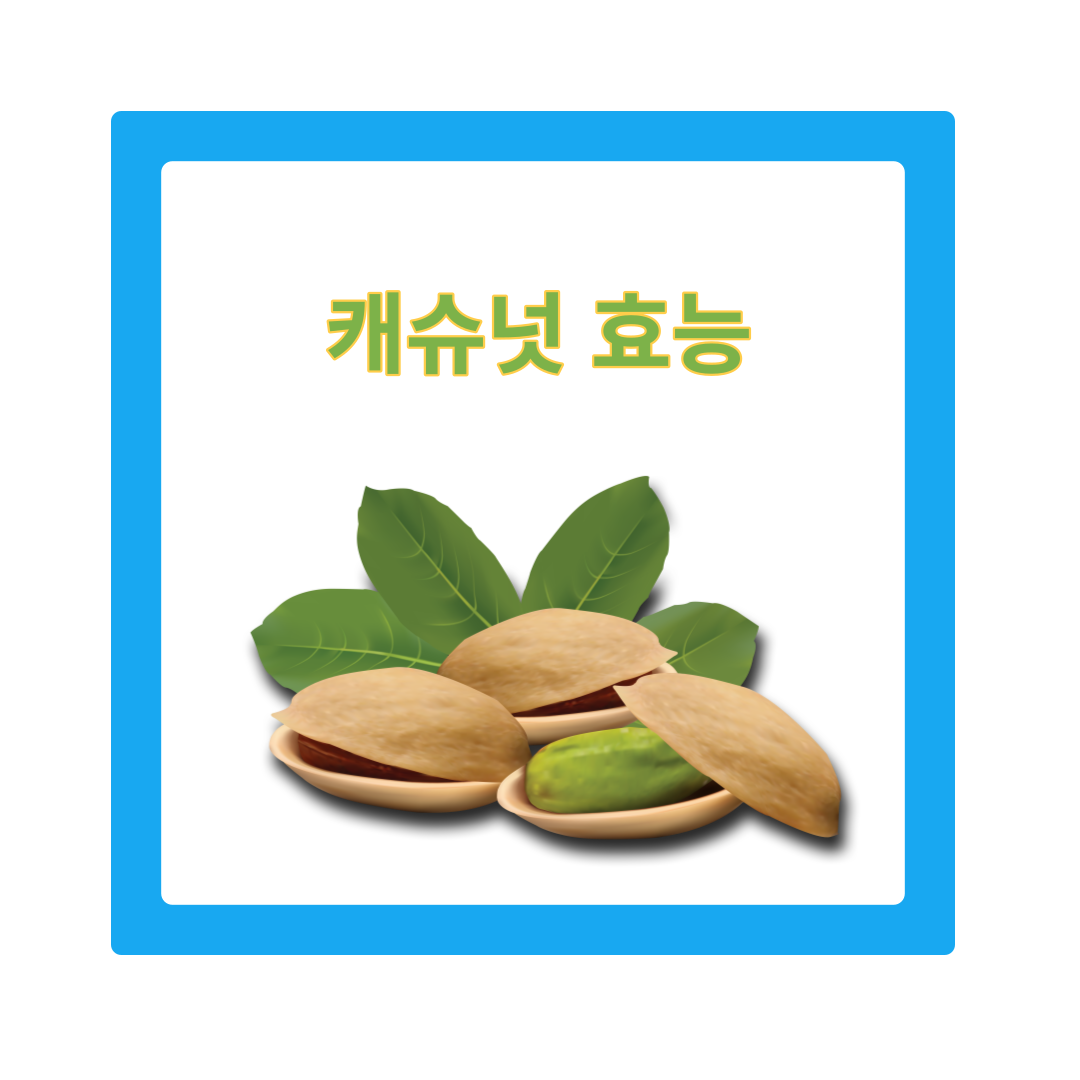  캐슈넛 효능 및 부작용 주의사항