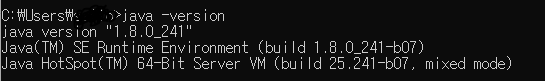 java -version 실행 결과