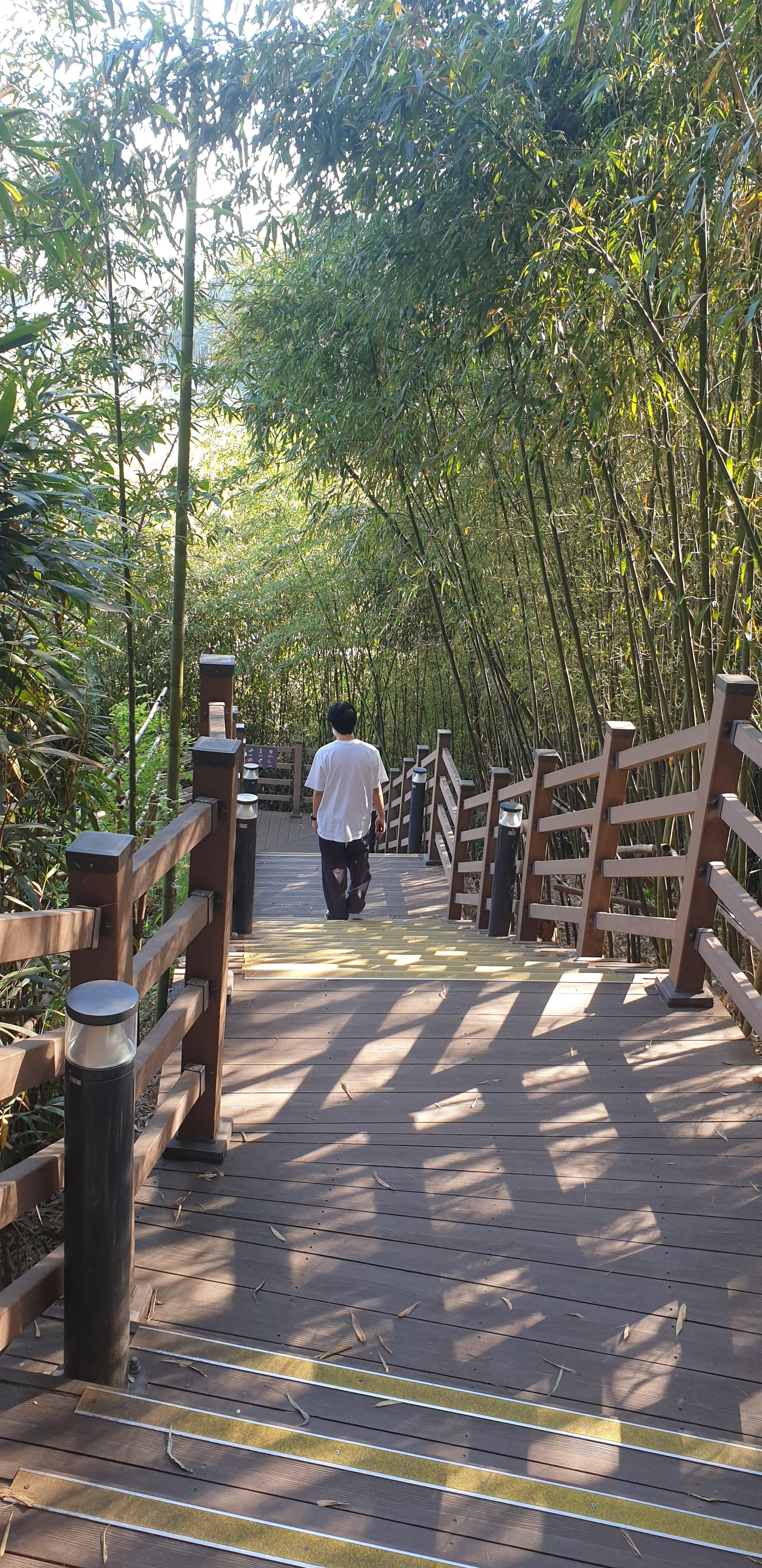 속초 롯데리조트 스위트 더블 후기 워터파크 인피니티풀 이용 안내