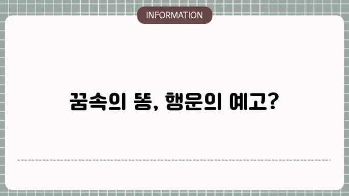 변기에똥싸는꿈 아기똥꿈해몽 몸에똥묻는꿈 해몽