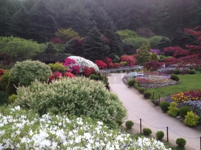 아침고요수목원