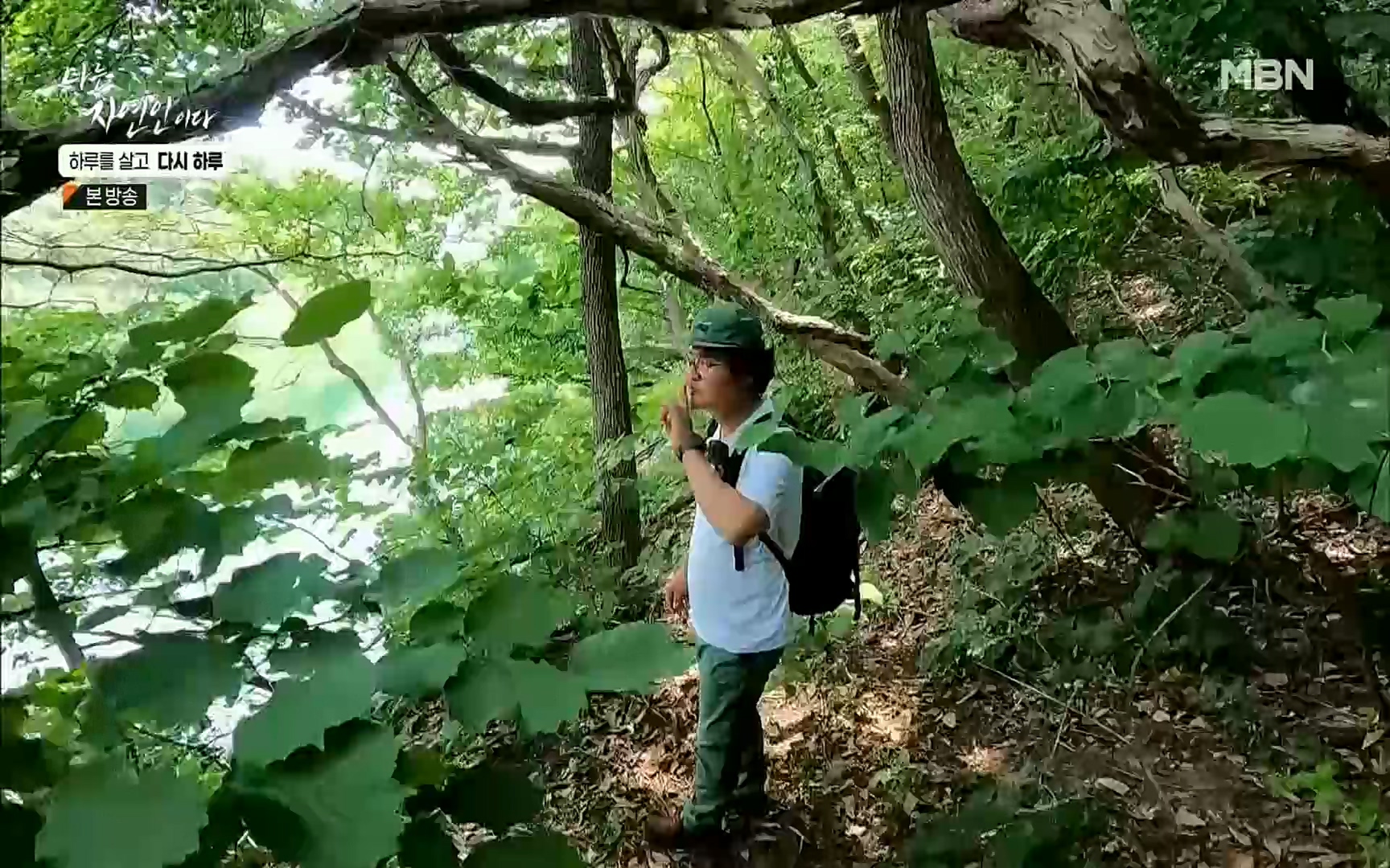 나는 자연인이다.E509.220706p.H264-F1RST.mp4_20220707_183720.414.jpg