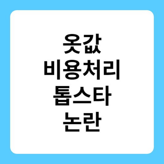 옷값 비용처리 톱스타 누구