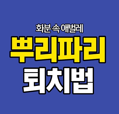 뿌리파리 퇴치