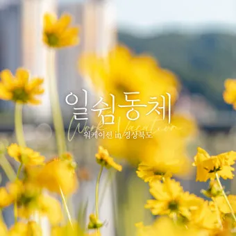 시골 감성 가득한 국내 촌캉스 여행지 베스트 추천 코스_10