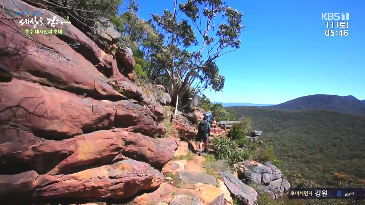 트레킹노트 세상을 걷다.E296.231112p-NEXT.mp4_20231111_181616.715.jpg