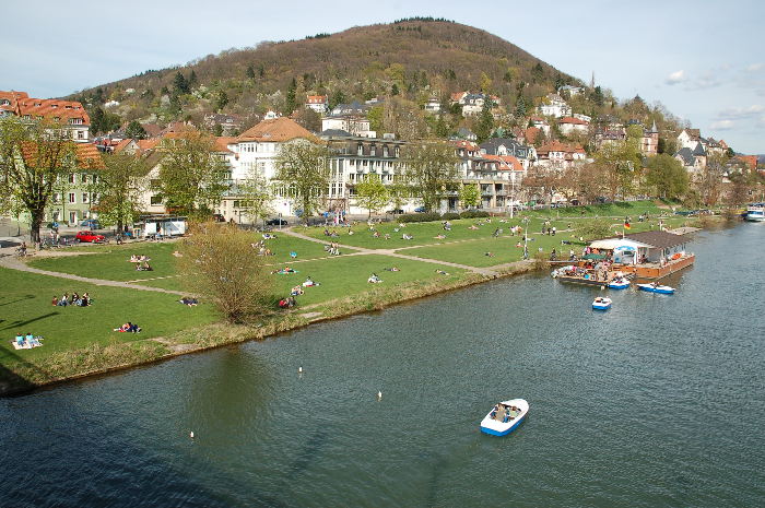 네카르비즈 Neckarwiese