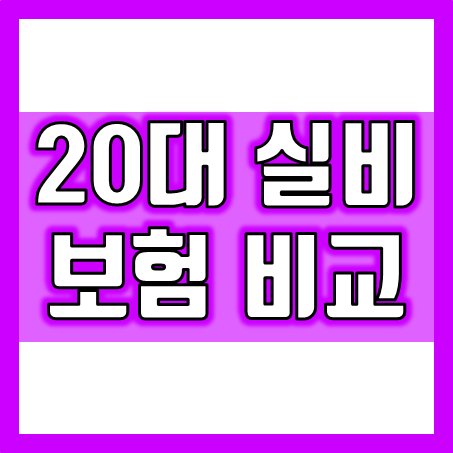  20대 실비보험 가격 비교, 괜찮은 20대실손보험 추천 원하신다면 바로 여기!