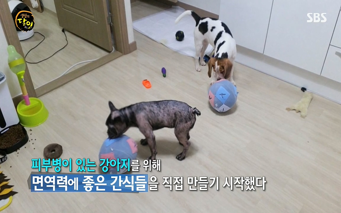 생활의 달인.E848.220621p-NEXT.mp4_20220621_201356.948.jpg