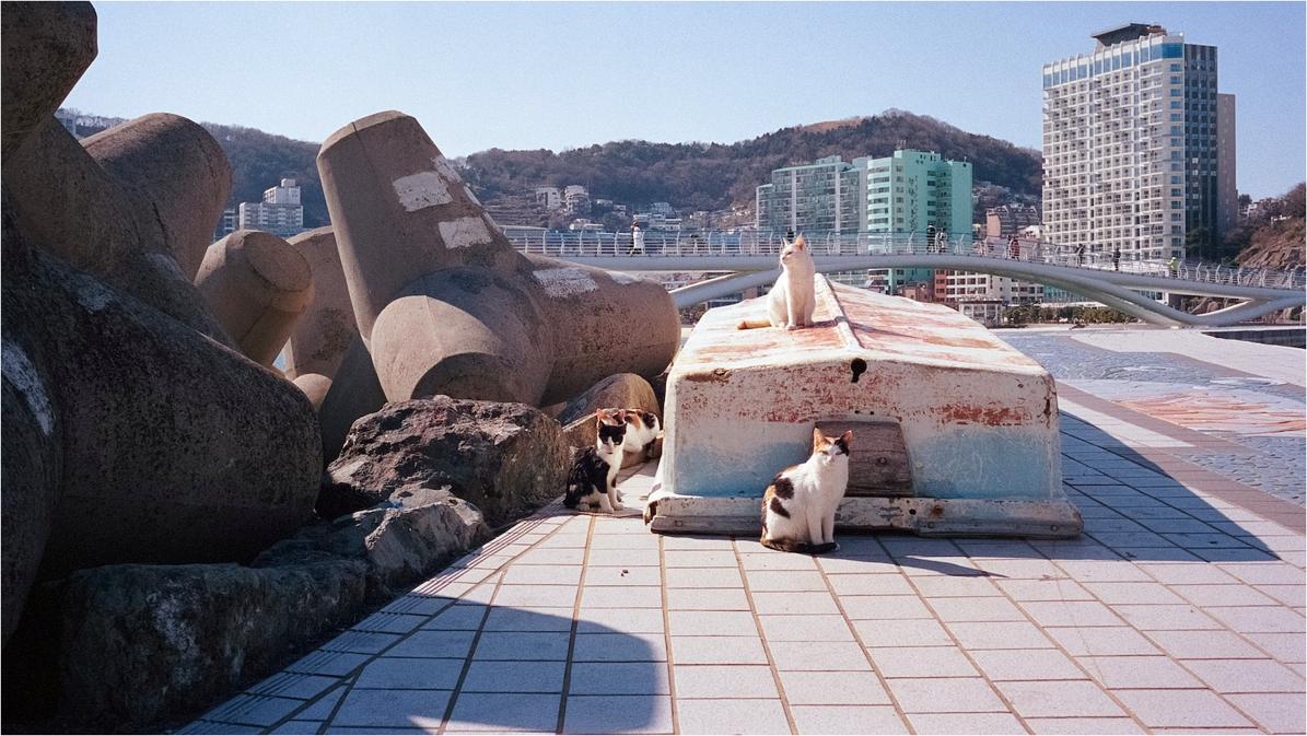 한국생산기술연구원 웨어러블 지원사업