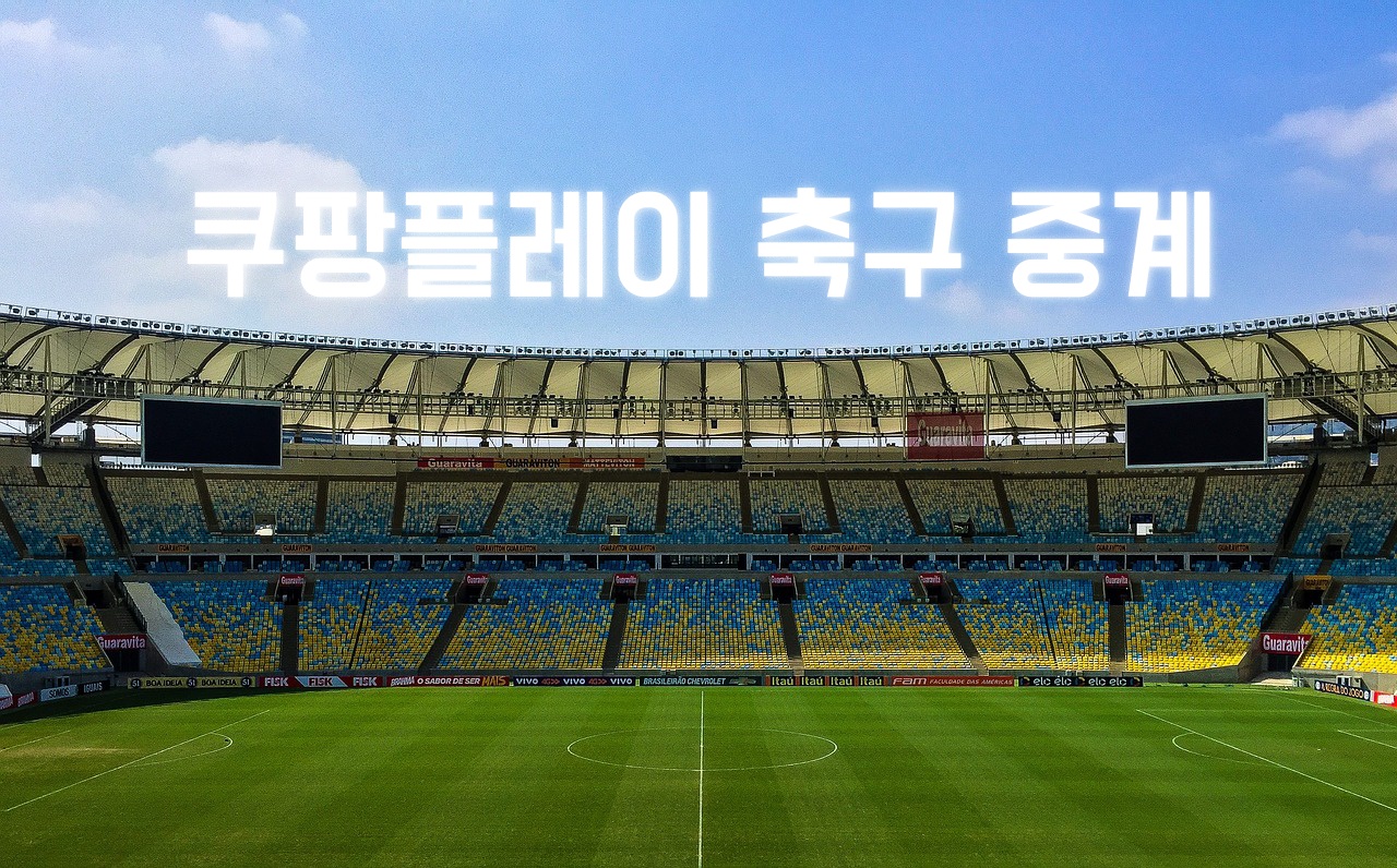 쿠팡플ㄹ이 축구 중계 우회 방법 총정리